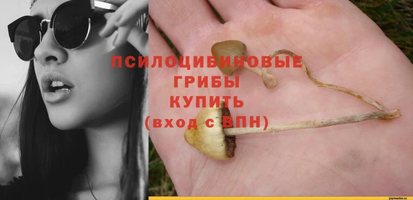 гидра Семикаракорск