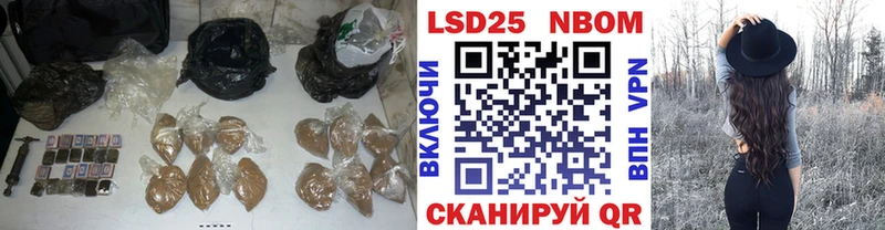 где можно купить наркотик  Облучье  LSD-25 экстази кислота 